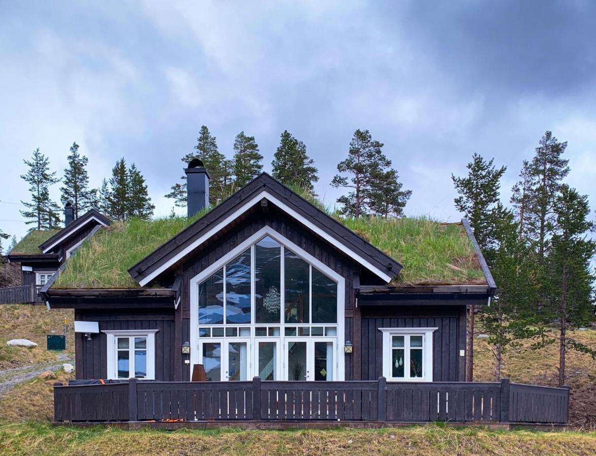 Lemonsjoen-Jotunheimen-Besseggen Villa Stuttgongfossen Exterior photo