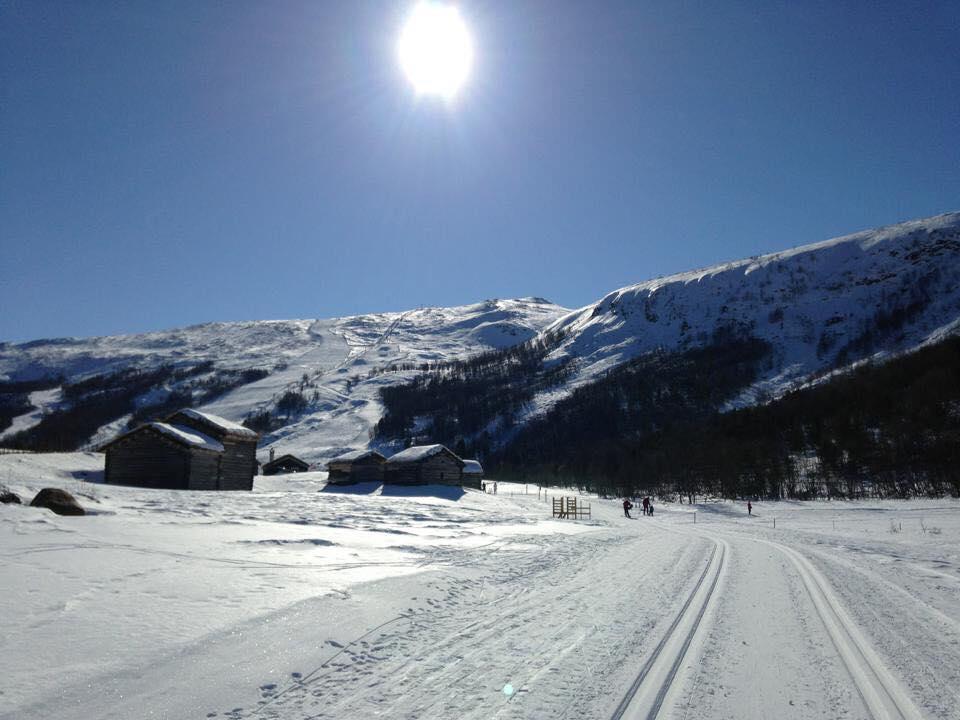 Lemonsjoen-Jotunheimen-Besseggen Villa Stuttgongfossen Exterior photo